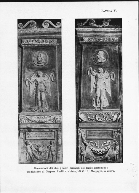 Tavola V: Decorazioni dei due pilastri orientali del teatro anatomico: medaglione di Gaspare Aselli a sinistra, di G. B. Morgagni a destra