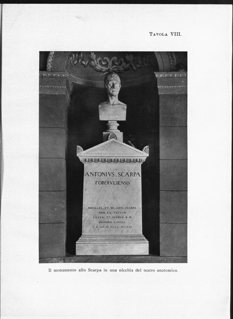 Tavola VIII: Il monumento allo Scarpa in una nicchia del teatro anatomico